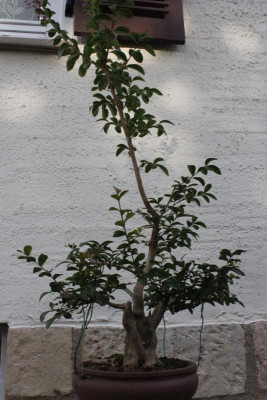 025_1309-02x.jpg