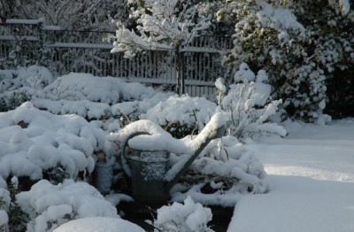 Garteneinblicke_6_02-02-2008.jpg