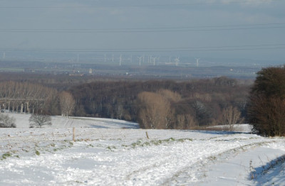 Kolner_Bucht_Eifel_Spargel_1_02-02-2008.jpg