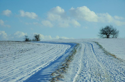 Schneefelder_1_02-02-2008.jpg