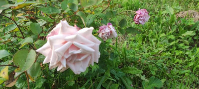 IMG_20210825_190611.jpg