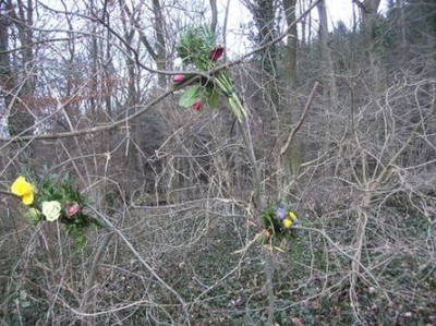 Blumen_im_Wald.jpg