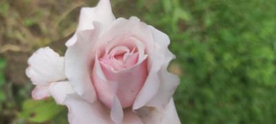 IMG_20210827_191736.jpg