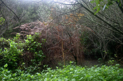 La_Zarza_0508.jpg