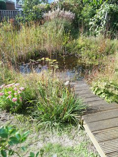 30-09-2019Teich.png