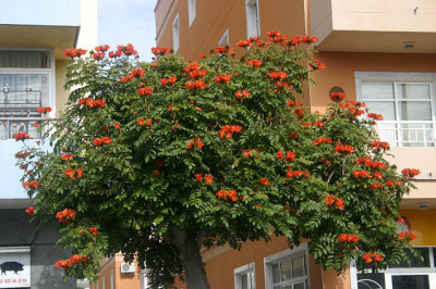 Llos_Lanos_2308.jpg