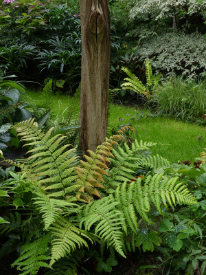 2021-08-29 Gartenimpressionen 4.jpg