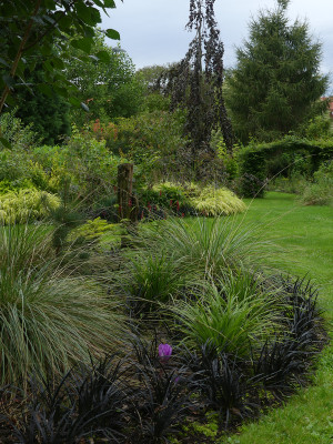 2021-08-29 Gartenimpressionen 6.jpg