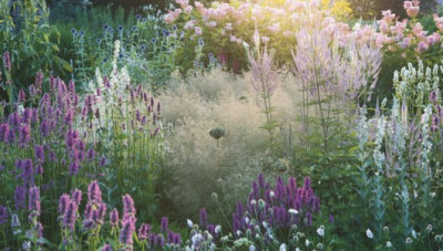 Piet-Oudolf-Garden_Cropped.jpg
