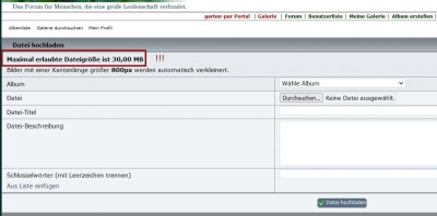 PurBilderHochladen.jpg