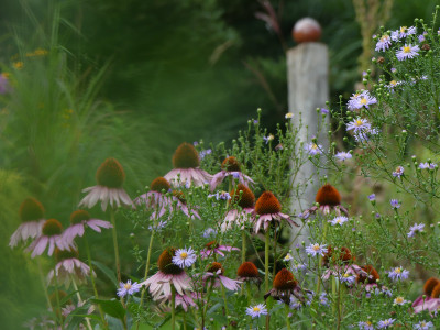 2021-08-31 Gartenimpressionen 1.jpg