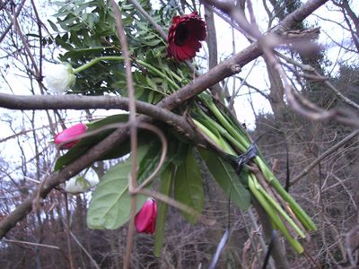 Faschingsblumen.jpg