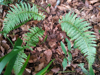 20210901_080400.jpg