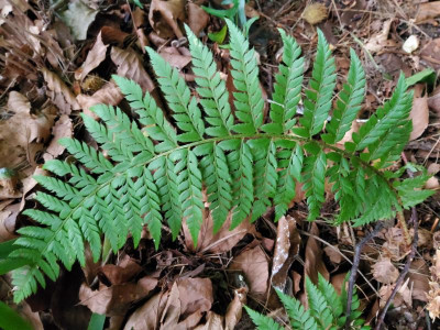20210901_080411.jpg