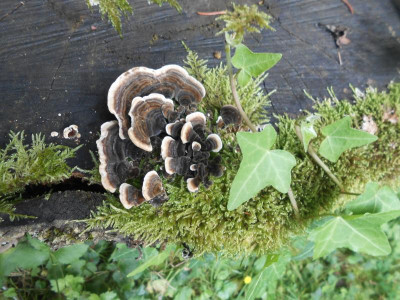 DSCN2852.JPG