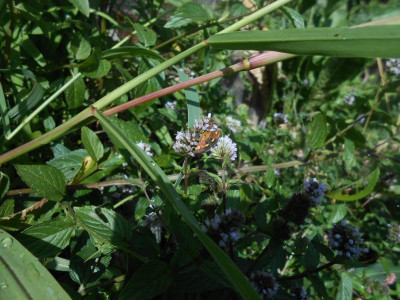 DSCN2753.JPG