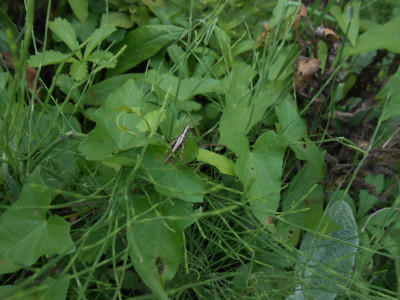 DSCN2858.JPG