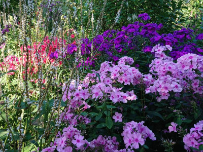 DSC_3387.JPG