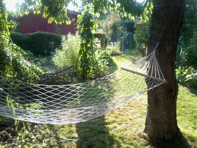 Foto0351.jpg