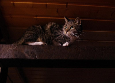 K5110056.jpg