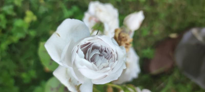 IMG_20210904_184801.jpg