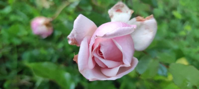 IMG_20210904_192403.jpg