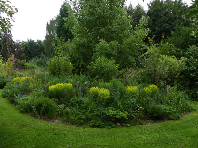 2021-09-04 Garteneinblick 3.jpg