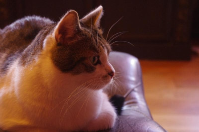 K5110060.jpg