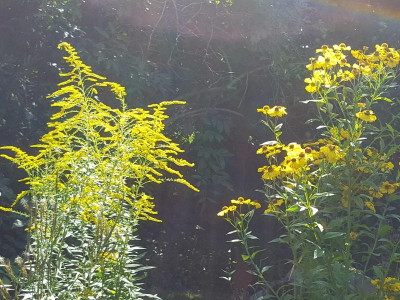20210905_114246.jpg
