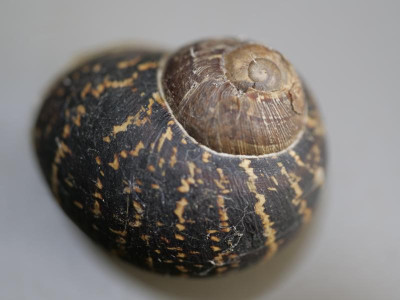 20210906212150.JPG