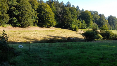 IMG-20210908-WA0003.jpeg