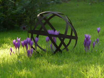 2021-09-08 Colchicum 1.jpg