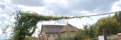 Alexandre_Girault_mit_Seil__T_14191.jpg