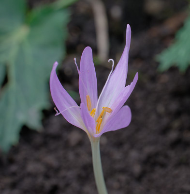 DSC_2791_DxO.jpg