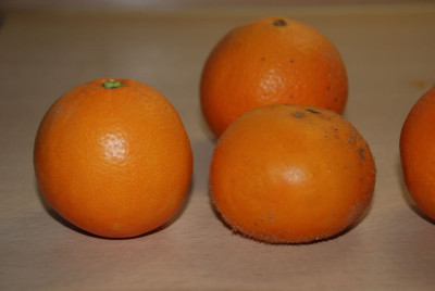 DSC_00740001_3.JPG