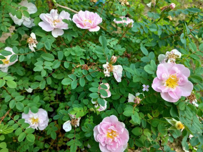 IMG20210909130906.jpg