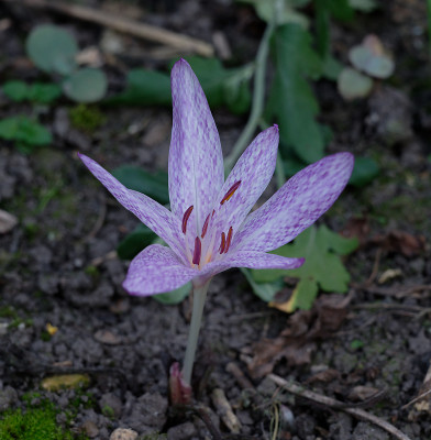 DSC_2880_DxO.jpg