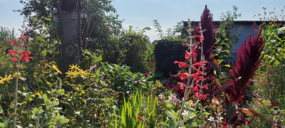 20210909_153442.jpg