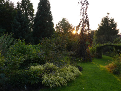 2021-09-09 Gartenimpressionen 4.jpg