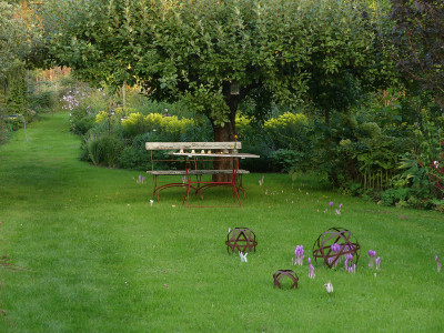 2021-09-09 Garteneinblick 2.jpg