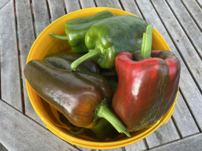 paprika.jpg