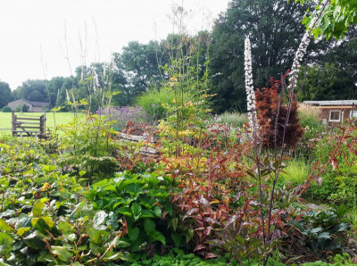 20210910_100125.jpg