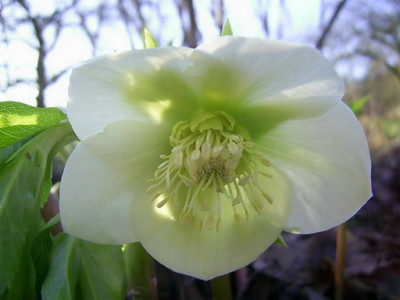 PIC_0002.JPG