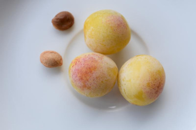 Mirabelle aus SH 004.JPG