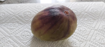 20210910_081459.jpg