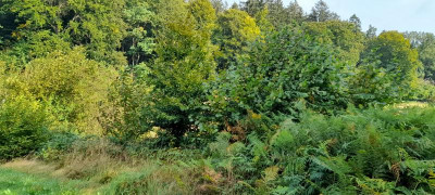20210910_102319.jpg