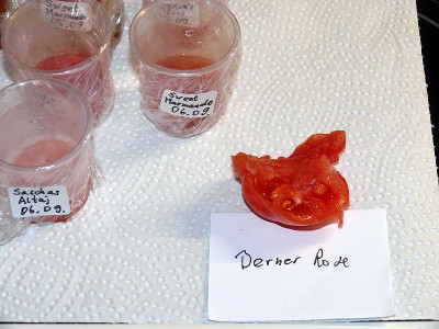 210908_Staubsaugertomate.jpg