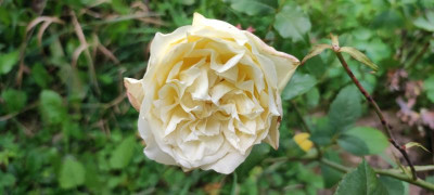 IMG_20210907_190719.jpg