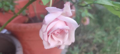 IMG_20210908_192859.jpg