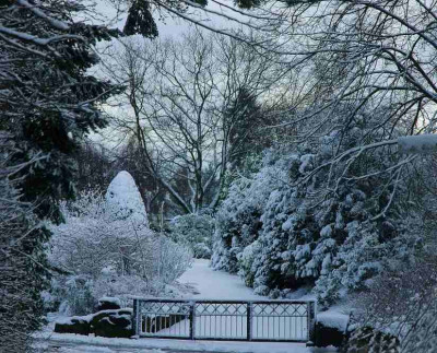 Wintergarten_1_02-02-2008_f.jpg